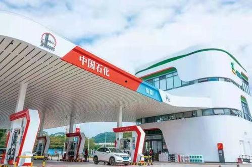 国产资源站,汇聚海量优质资源，助力创新发展